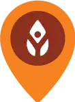 YOGI-pin