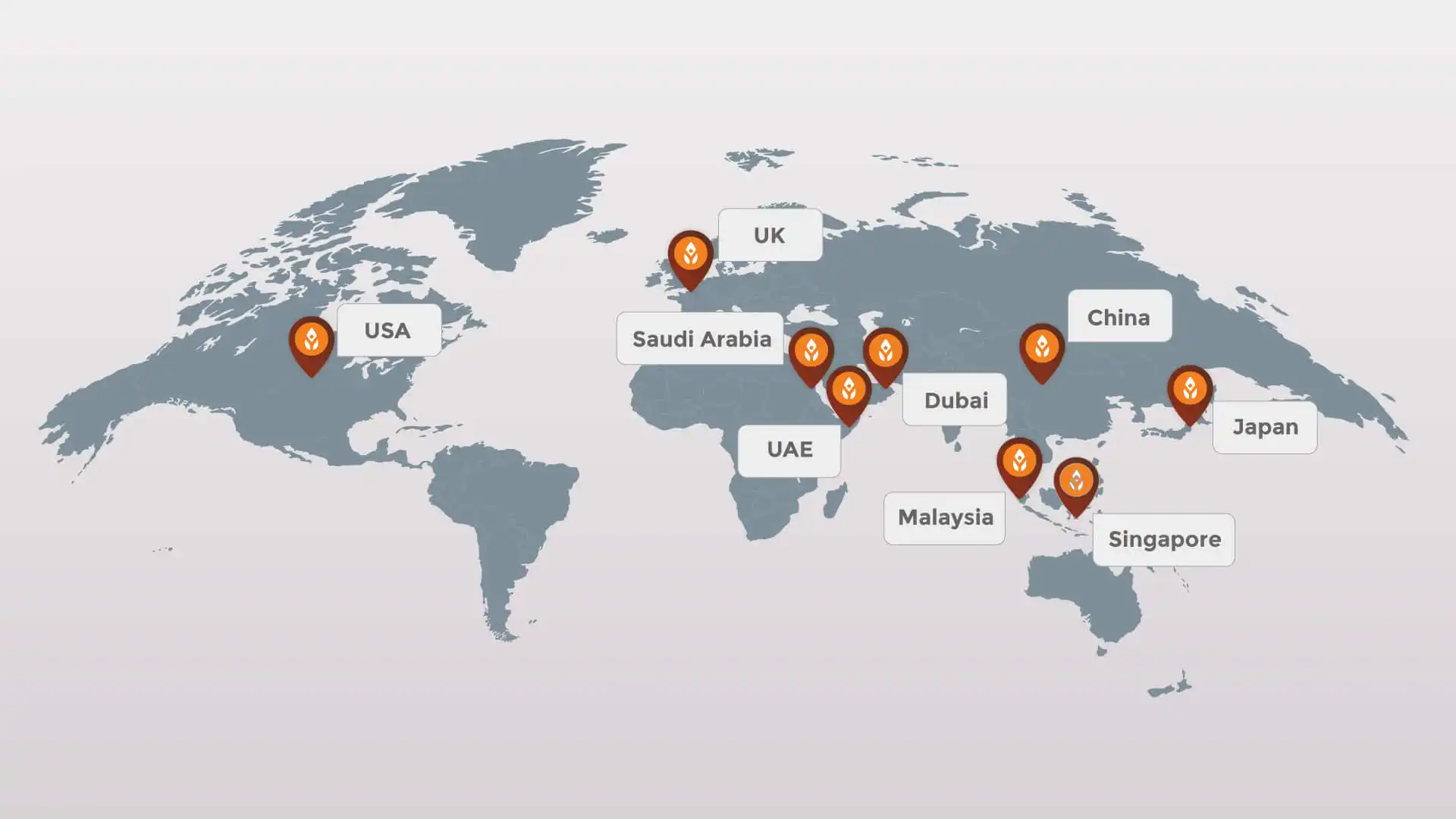 World Map