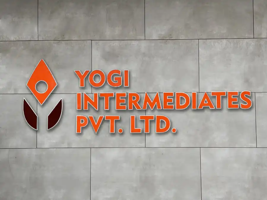 yogi_about